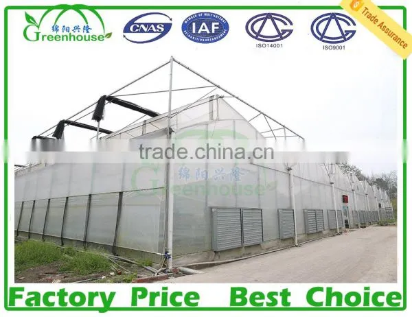 Commercial Greenhouses for Sale photo-6