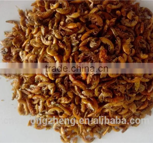 Fish Food High Protein Freeze 1 cm Dried Gammarus;gammarus for Fish photo-2