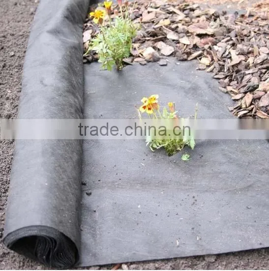 Greenhouse Garden Ground Cover Polypropylene Price photo-2