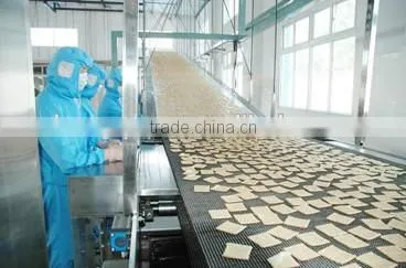 Hot!!! /good Quality and Low Price/it's Your Good Choice! Canvas Webbing/endless Cotton Biscuit Webbing photo-2