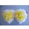 Sell Feather Crafts