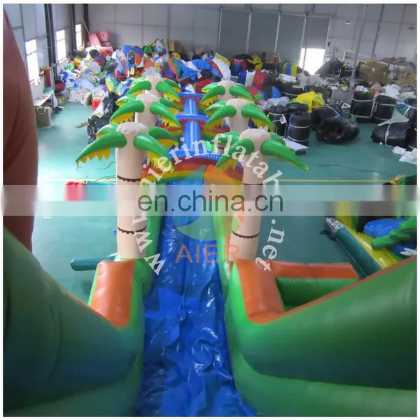 Palm Inflatable Water Slide/long Inflatable Water Slide photo-5