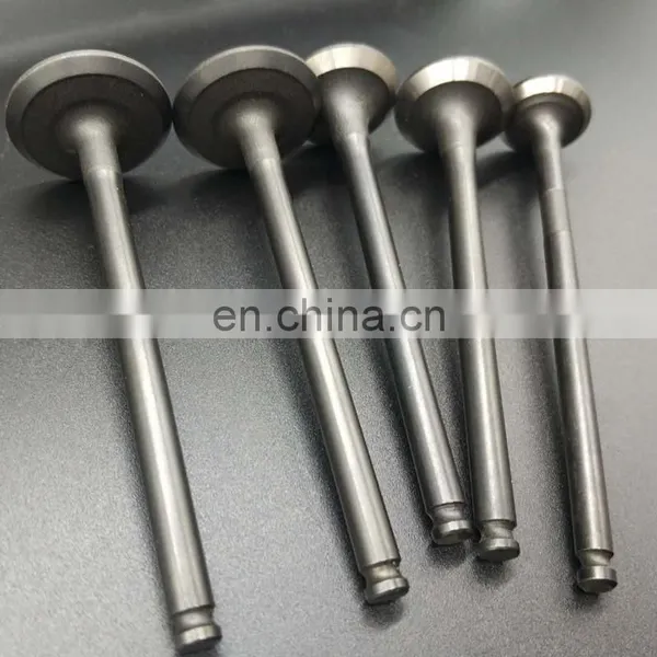 Gold Supplier Spare Parts For Nissann Navara D40 PICKUP 2.5 DCi YD25DDTi Diesel Engine Valves photo-3
