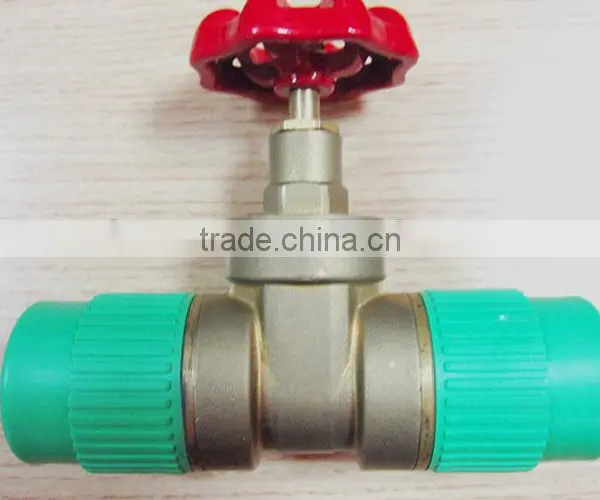 Ppr Brass Gate Valve for Ppr Piping photo-2