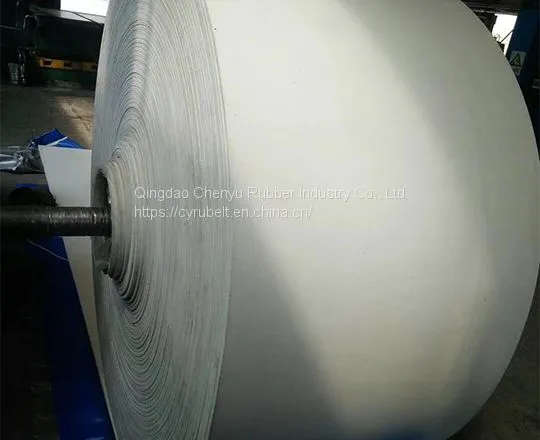 Food Grade White Conveyor Belt photo-3