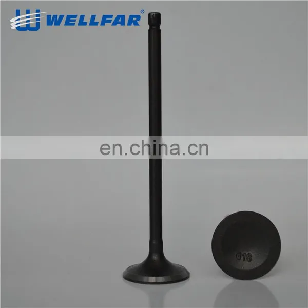 High Quality Competitive Price 4G13 4G18 Engine Valve For Japanese Cars photo-3