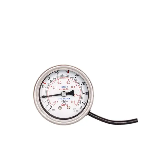 63MM Axial EP Grade Ultra-high Purity Explosion-proof Electric Contact Pressure Gauge photo-3