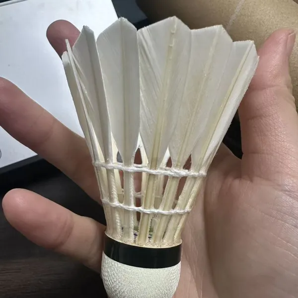 Professional Using Quality Badminton Shuttlecocks for practise and competition