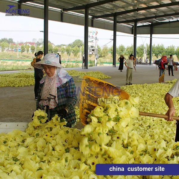 High Efficiency Bread Crumbs Garcinia Cambogia Day Lily Golden Chrysanthemum Mesh Belt Dryer photo-2