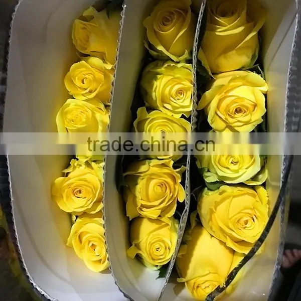 Top Quality Most Popular Gold Plated Gift Rose photo-5