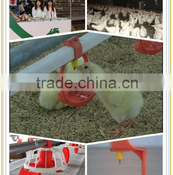 Broiler Farm House and Equipments photo-2