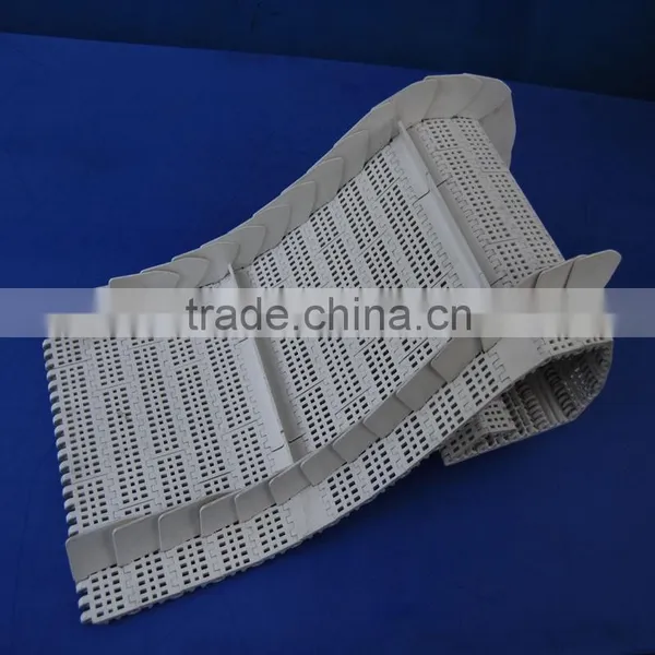 China Supplier Engineering Plastic Pom Conveyor Belt Delrin Conveyor Chain photo-5