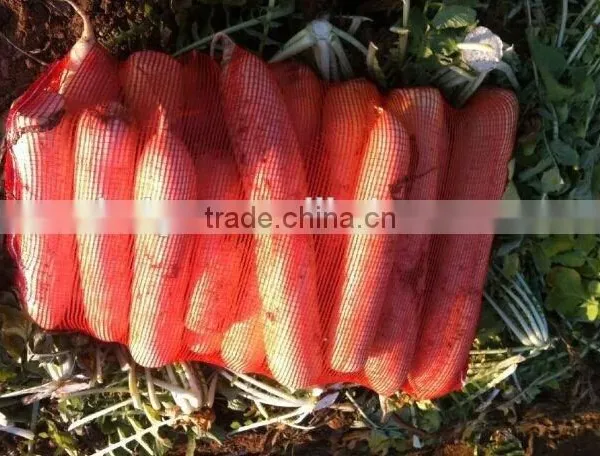 pp Mesh Bag for Onion, Vegetable Mesh Bag Wholesale,mesh Bag for Oranges photo-6