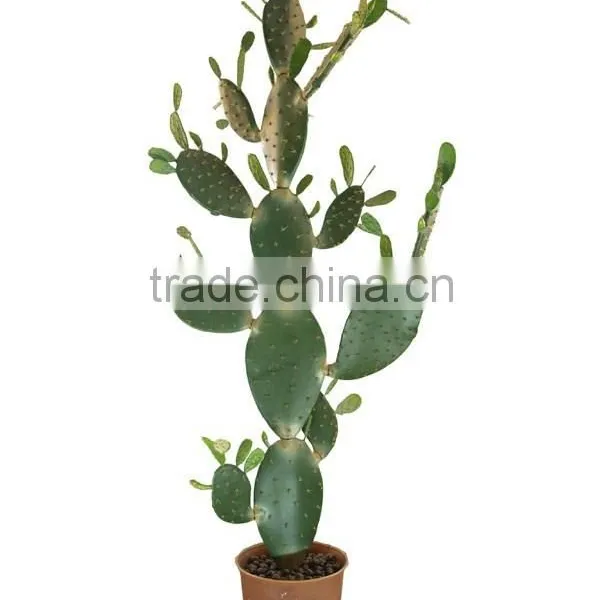 High Quality Decorative Artificial Cactus