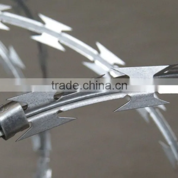 Electro-galvanized Razor Wire/razor Barbed Wire Mesh Fence With Surprise Price photo-5