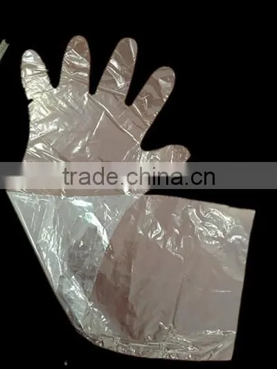 Disposable Elbow Length Long LDPE Glove Withrubber Band photo-3
