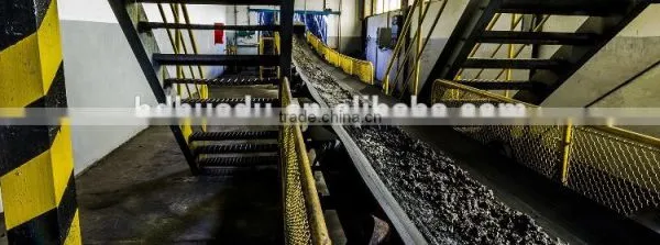 Conveyor Belt for Continuous Ship Unloaders and Shiploading of Bulk Materials photo-2