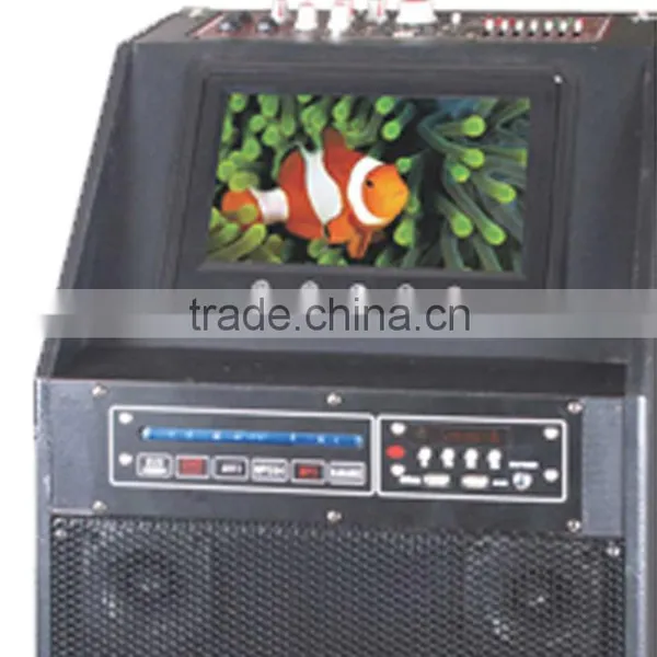 2016 High Power Active Stage Woofer Speaker Wireless Mic photo-3