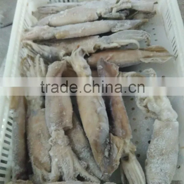Illex Squid W/R photo-4