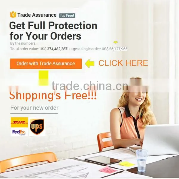 DC to AC 12v 24v 48v to 220v Pure Sine Wave UPS Inverter With Charger 1000w to 6000w photo-6