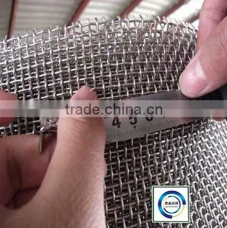 Stainless Steel 304 Crimped Wire Mesh photo-5