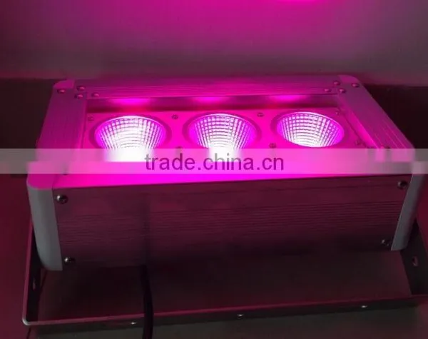 1000W RGB LED Light Smart City LED Flood Light IP67 photo-2