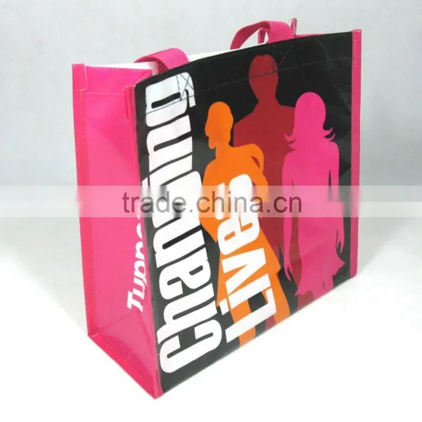 BSCI Audit Factory Eco Bag Supplier/non Woven Bags Printing/non Woven Bag photo-3
