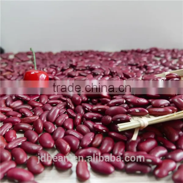 Chinese Dark Red Kidney Beans Shanxi Variety photo-4
