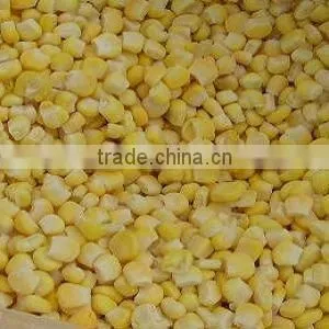 Maize Corn