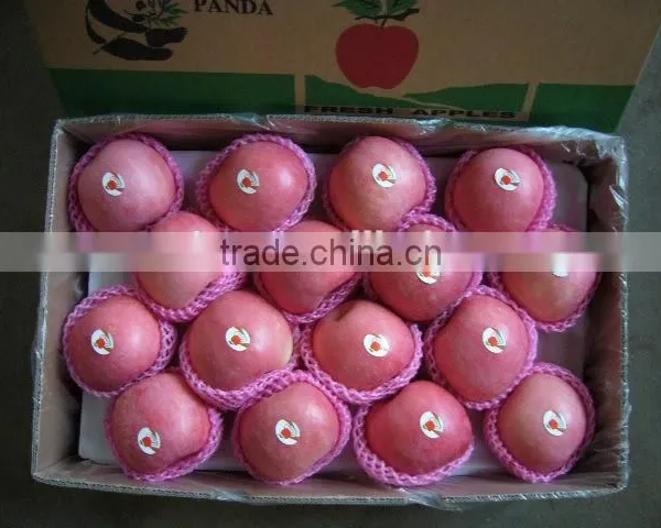 Fresh Fruit Fuji Apple photo-2