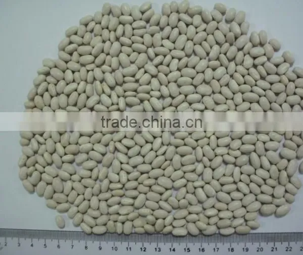 Canned Red Kidney Beans White Kidney Bean photo-4