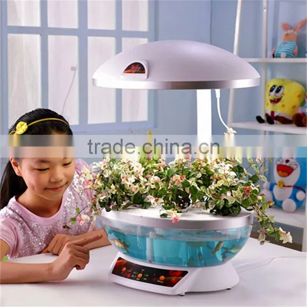 Large Fish Tank Aquarium photo-2