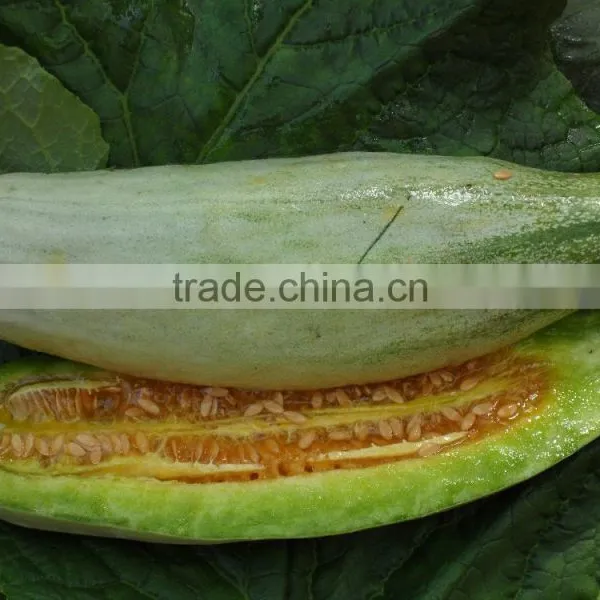 Horn Melon Seeds Sugar F1