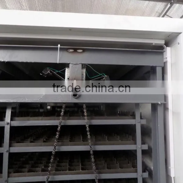 High Quality Automatic Peacock Hatching Eggs for Sale photo-5