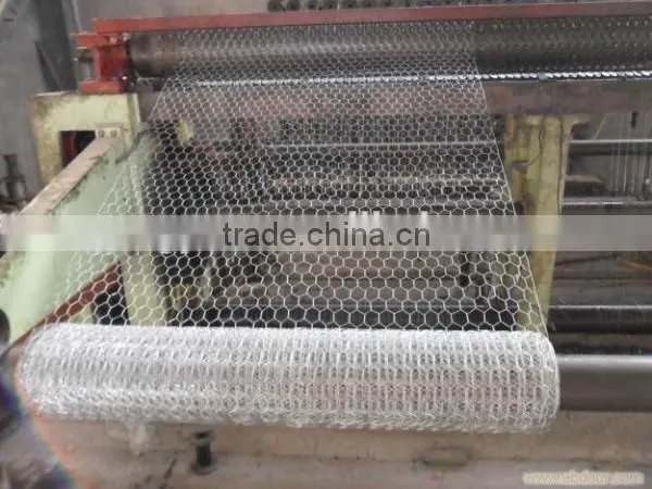 Competitive Price for Hexagonal Wire Mesh photo-5