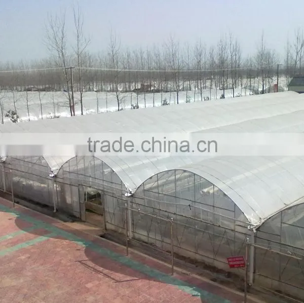 Mini Plastic Greenhouse for Sale, Used Greenhouse Frames for Sale photo-2