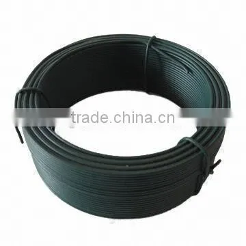 Iron Wire photo-2