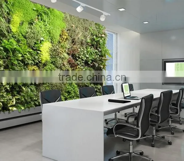 Indoor Green Wall Succulent Plant or Leafy Plant Combination With the Soft Foam Backing photo-4