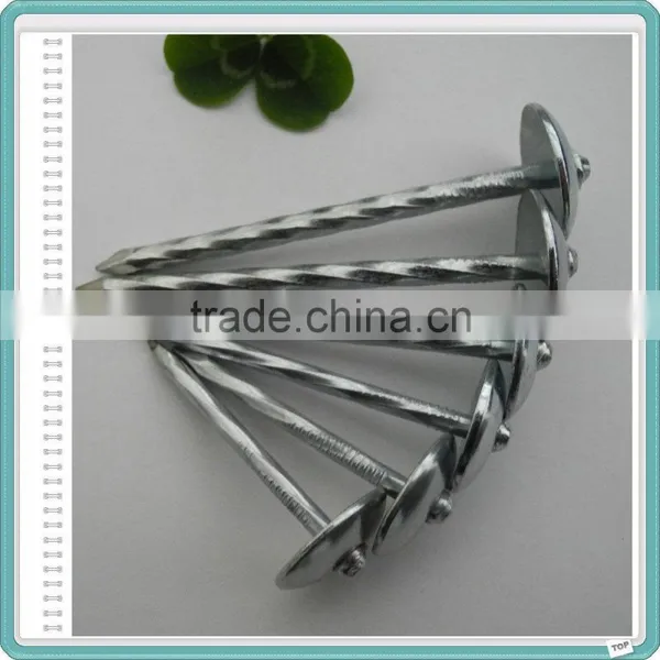 Umbrella Roofing Nails 2.5 photo-3