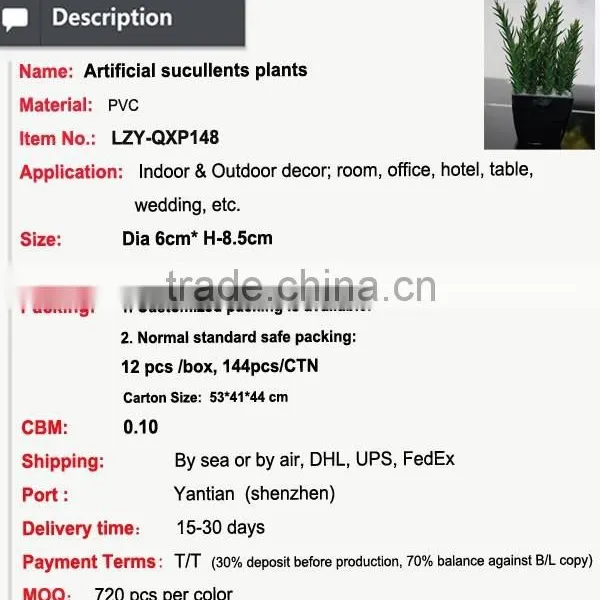 Artificial Wholesale Potted Succulent Plants Smalll Plants Mini Succulent photo-3
