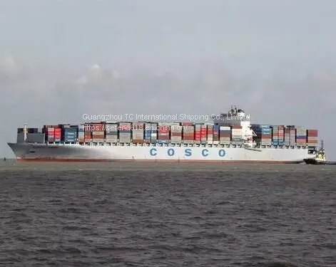 International Logistics Shipping Guangzhou Huangpu to Kuwait Special Line FCL Shipping Double Clearance to the Door photo-2