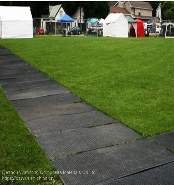 High Strength UHMWPE Temporary Road Mat photo-3