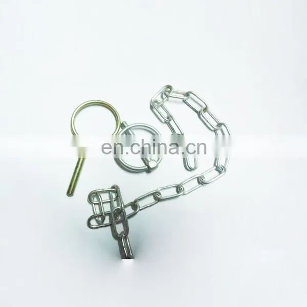Stainless Steel Clevis Pin With Hole Din 1444 b for R Clip photo-4