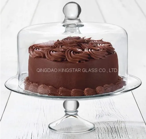 Glass Dome photo-5