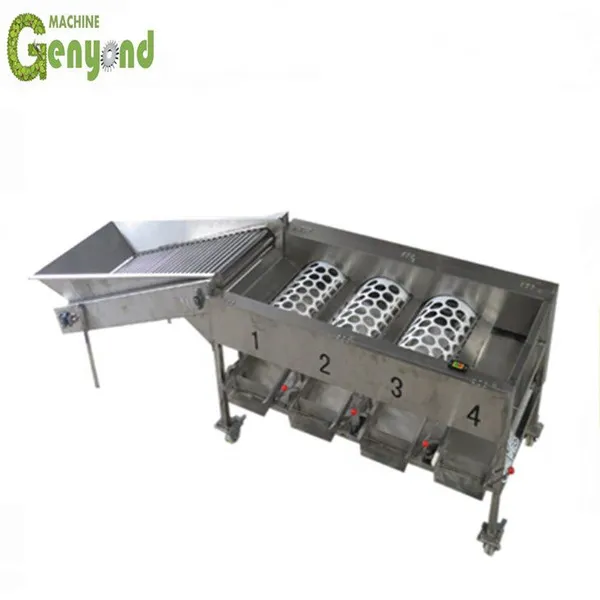 Fresh Fruit Apple Orange Size Sorting Tomato Sorting Machine photo-5