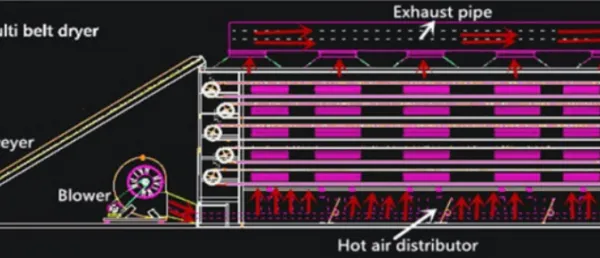Automatic Belt Drying Processing Line photo-4