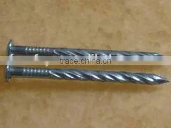 Galvanized Twisted Shank Nails Factory photo-3