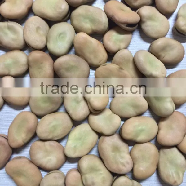 Peeled Green Broad Beans Frozen photo-5