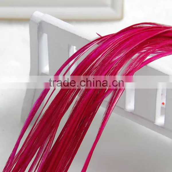 2015 New Arrival Factory Price Real Rooster Feather Hair Extensions Pure Color Feathershair Extension Quality Choice photo-2