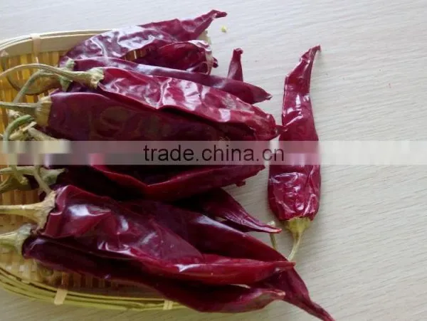 Chinese Exported Dry Sweet Paprika Whole photo-2